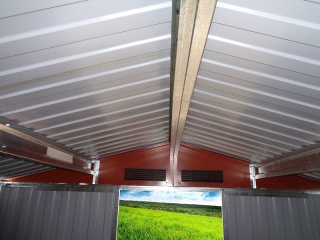 Металлический сарай GreenStorage Арчер D — изображение 5
