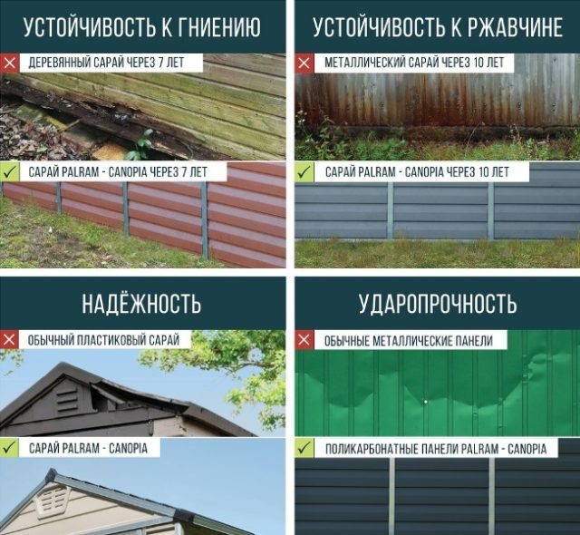 Пластиковый сарай Palram 6x10 — изображение 5